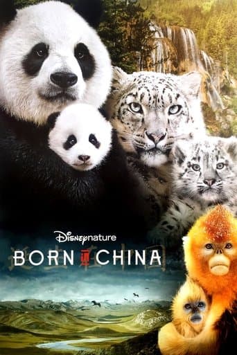 Movie poster for Born in China