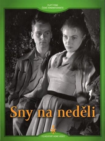 Movie poster for Sny na neděli