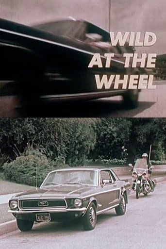 Movie poster for Wild at the Wheel