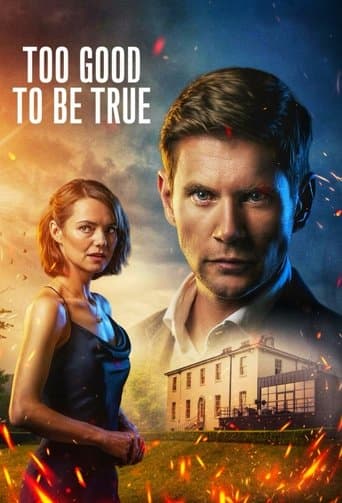 Movie poster for Too Good to Be True