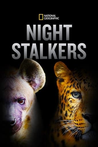 Movie poster for Night Stalkers
