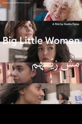 Movie poster for Big Little Women