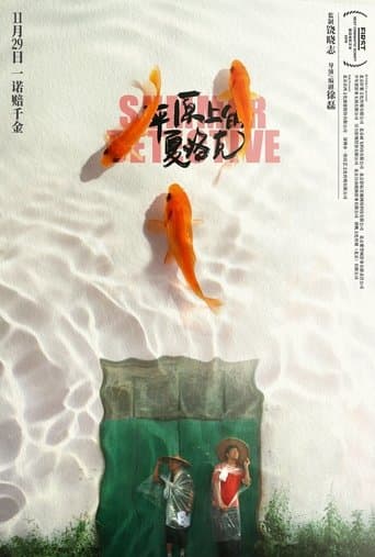 Movie poster for Summer Detective