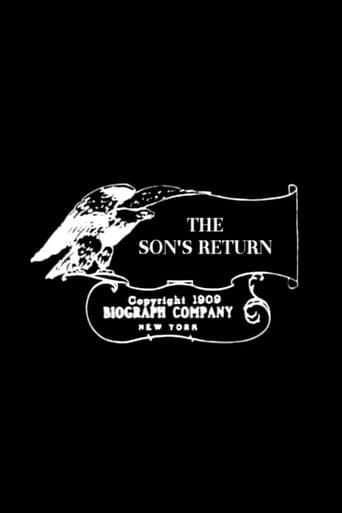 Movie poster for The Son's Return