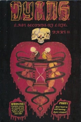 Movie poster for Dying: Last Seconds of Life, Part II