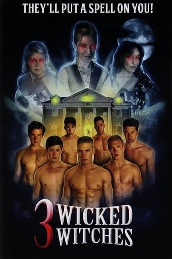 Movie poster for 3 Wicked Witches