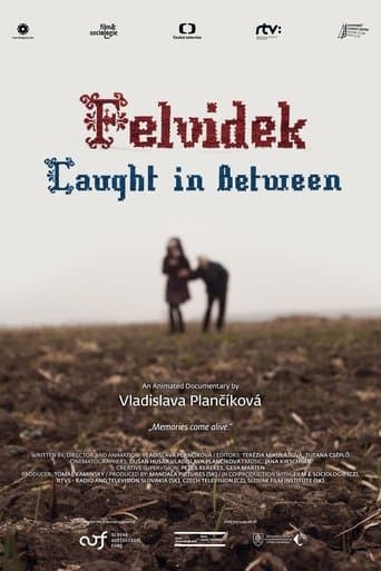 Movie poster for Felvidek – Caught in Between