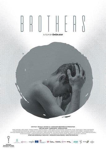 Movie poster for Brothers