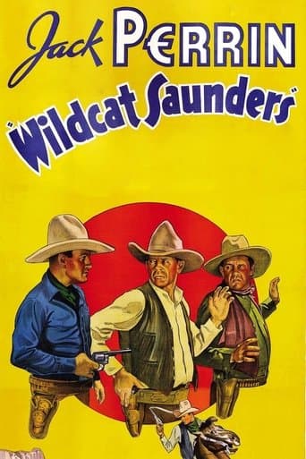 Movie poster for Wildcat Saunders