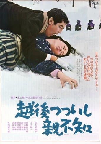 Movie poster for A Story from Echigo