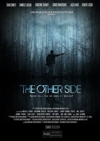 Movie poster for The Other Side