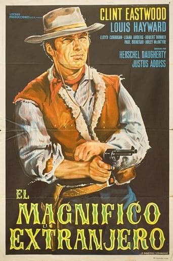 Movie poster for The Magnificent Stranger