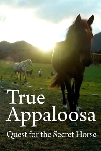 Movie poster for True Appaloosa