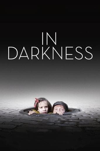 Movie poster for In Darkness