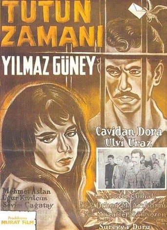 Movie poster for Tütün Zamanı