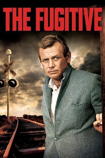 Movie poster for The Fugitive