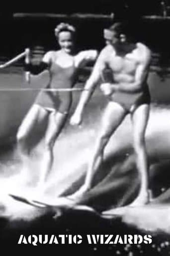Movie poster for Aquatic Wizards
