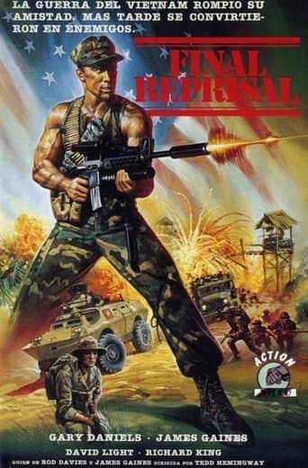 Movie poster for Final Reprisal