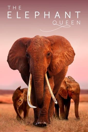 Movie poster for The Elephant Queen