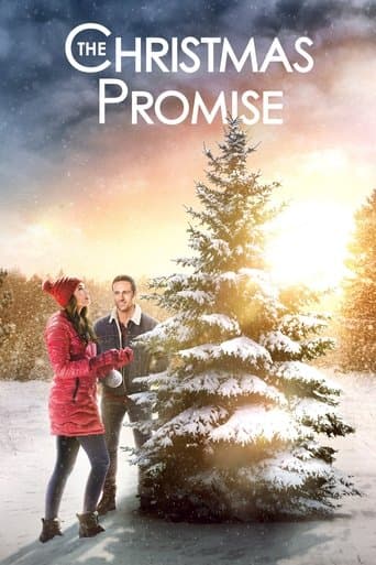 Movie poster for The Christmas Promise