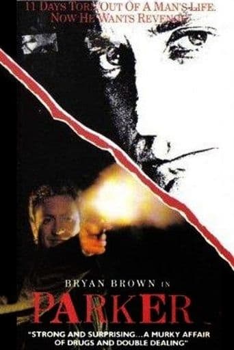 Movie poster for Parker