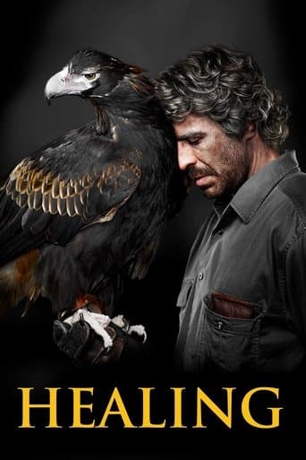 Movie poster for Healing