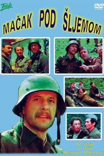 Movie poster for Cat Under a Helmet