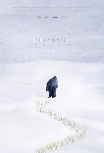 Movie poster for Chamomile