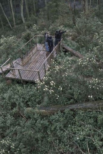 Movie poster for Acid Forest