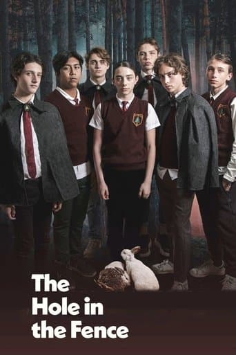 Movie poster for The Hole in the Fence