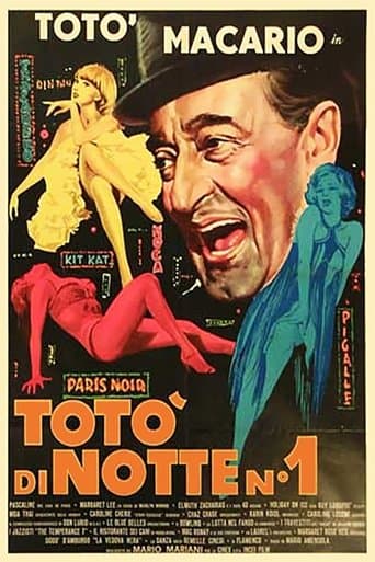 Movie poster for Toto at Night
