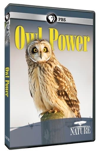 Movie poster for Owl Power