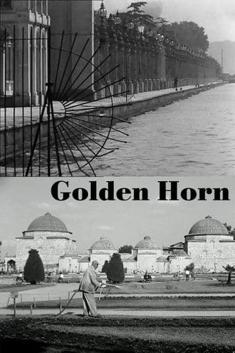 Movie poster for Golden Horn