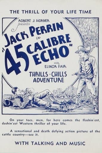 Movie poster for 45 Calibre Echo