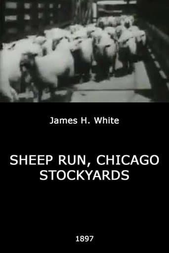 Movie poster for Sheep Run, Chicago Stockyards