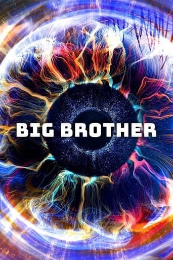 Movie poster for Big Brother