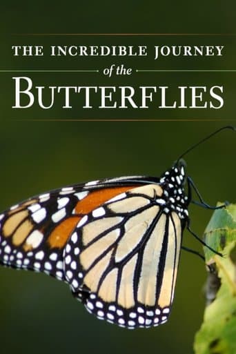 Movie poster for The Incredible Journey of the Butterflies