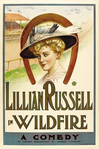 Movie poster for Wildfire