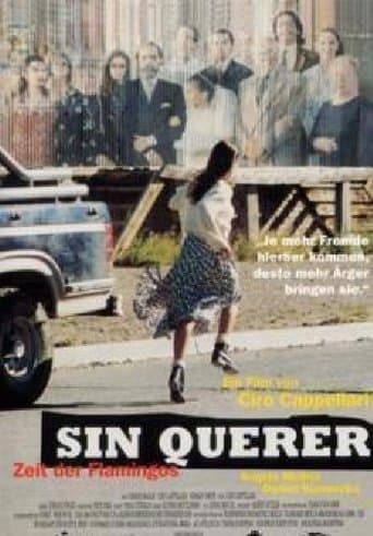Movie poster for Sin querer