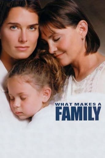 Movie poster for What Makes a Family