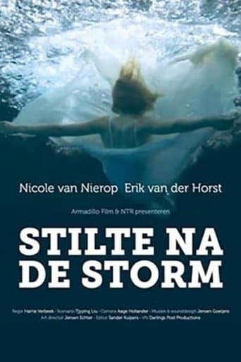Movie poster for Stilte na de storm