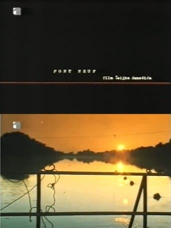 Movie poster for Pont Neuf