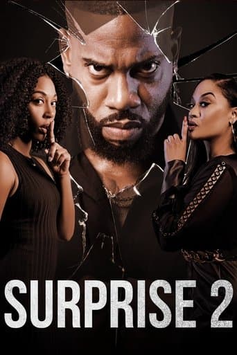Movie poster for Surprise 2