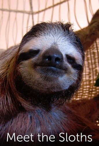 Movie poster for Meet the Sloths