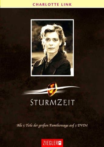 Movie poster for Sturmzeit