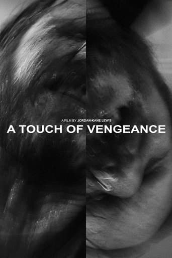 Movie poster for A Touch of Vengeance