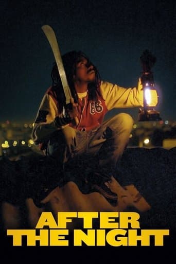 Movie poster for After the Light