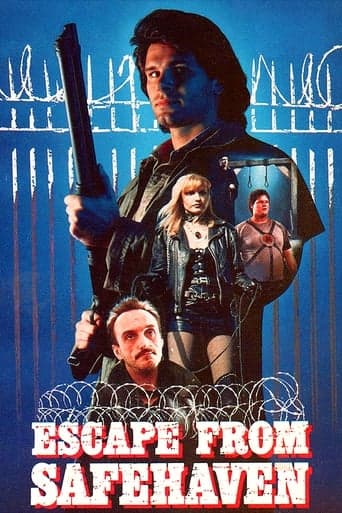 Movie poster for Escape from Safehaven