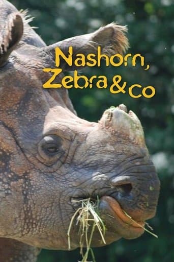 Movie poster for Nashorn, Zebra & Co.