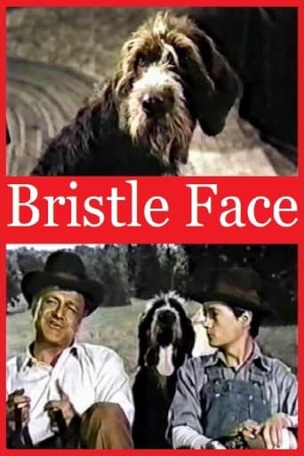 Movie poster for Bristle Face